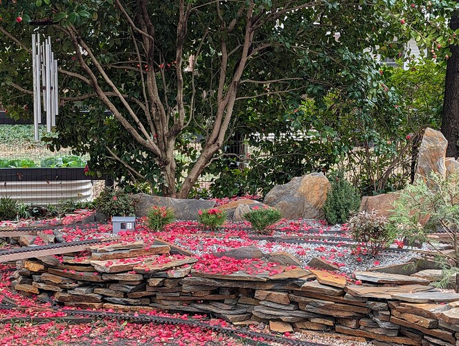 PXL_20260227_195801163