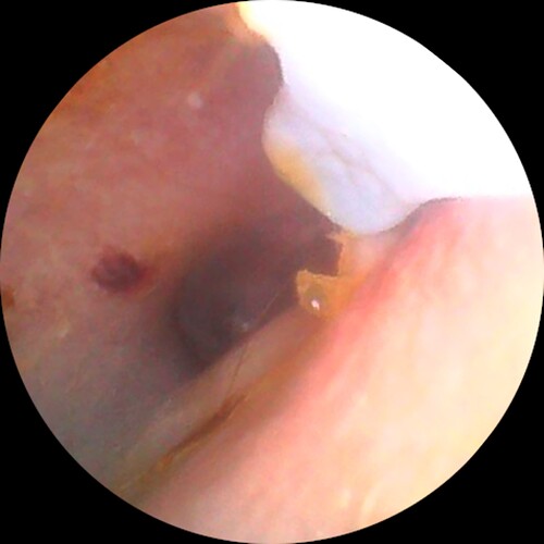 Image_2025-10-12 14_48_03_338