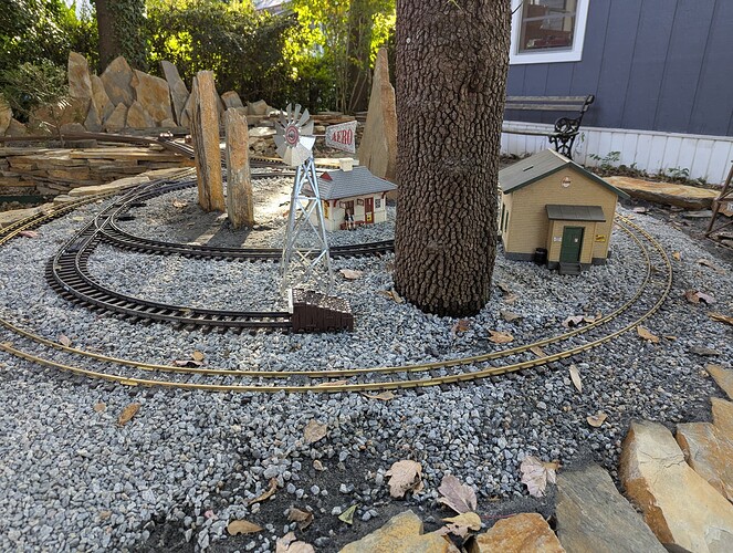 PXL_20251025_203131268.MP