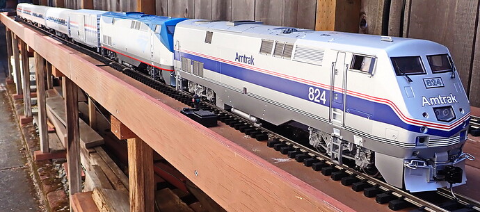 LGB_P42sAndAmfleetCarTrainOnUpperLayoutSwitchYard_P6240014