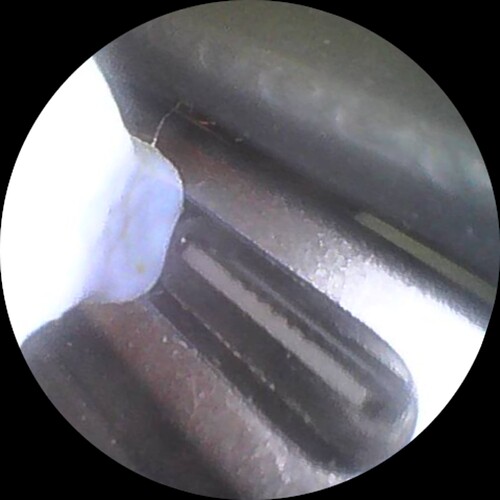 Image_2025-10-11 13_24_23_280