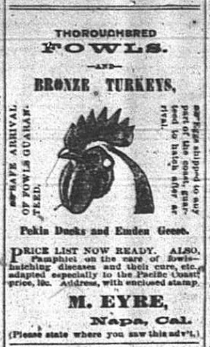 1878-01-12_P2_SI - fowls & turkeys