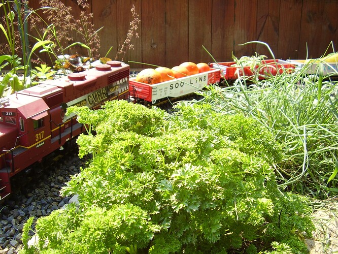 Railroad 2009 096