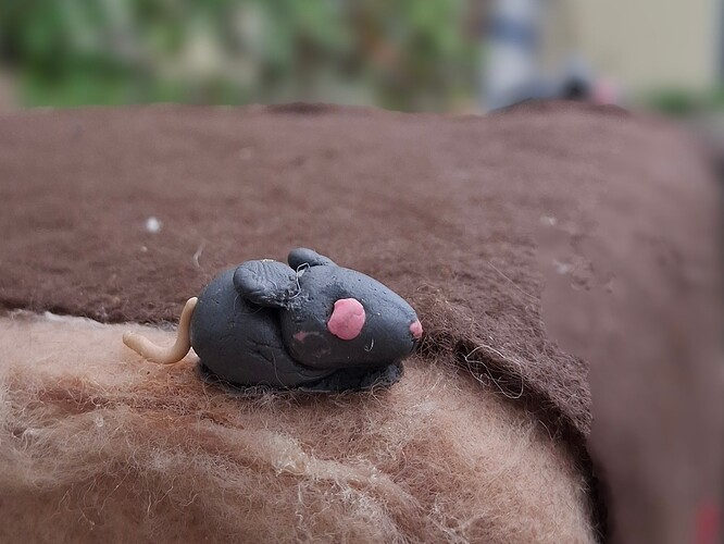 20260215_124918 (CROPPED)