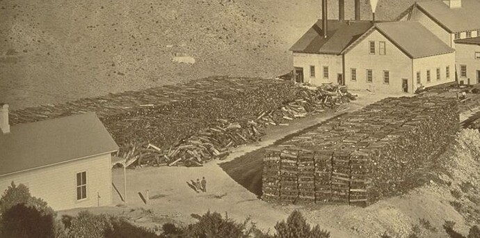 wood dump - sierra nv