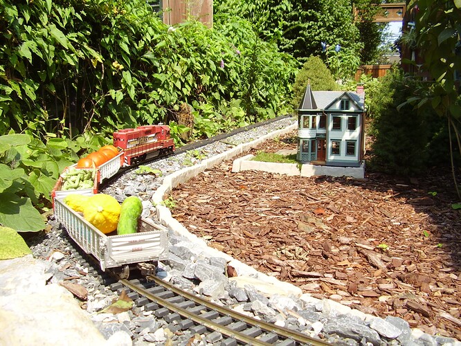 Railroad 2009 093