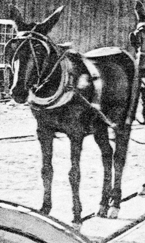 cropped - 1890, Jas. H. Crockwell, Virginia City, Nevada, Souvenir of the Comstock, p15, LOC, detail - Copy