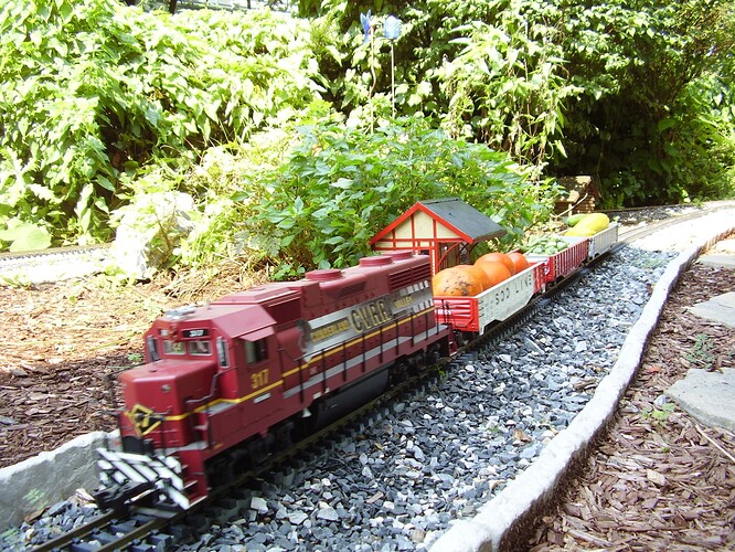 Railroad 2009 092