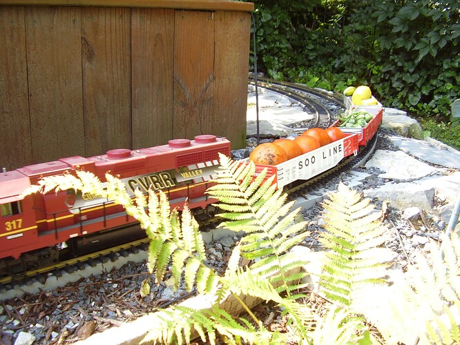 Railroad 2009 095