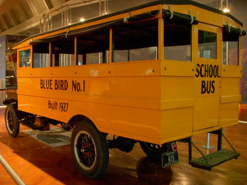 bus 9